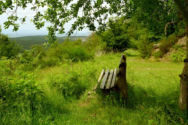 “苏超”MVP范厚泰：后劲太大了，每天脑海里还是夺冠的场景
